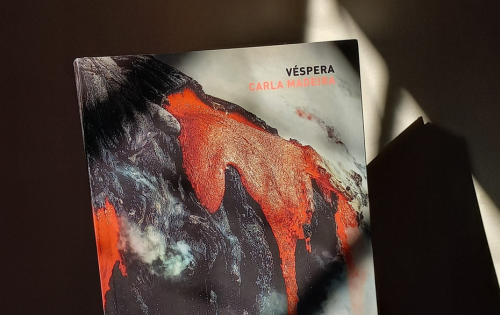 Foto do livro "Véspera" de Carla Madeira